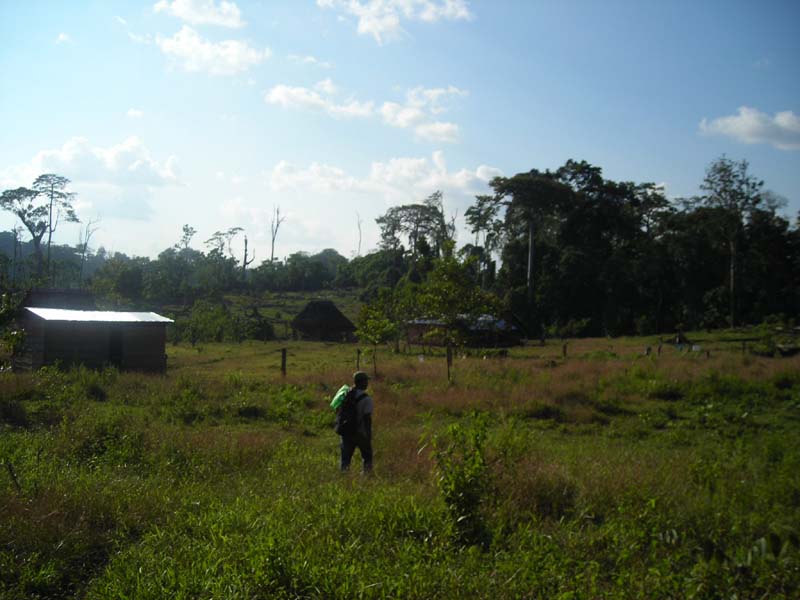 DSCN0050