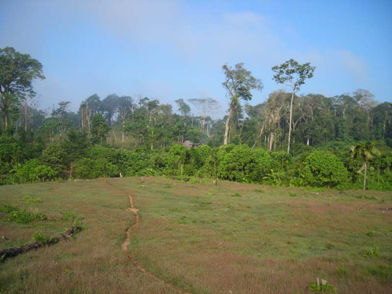 DSCN0066