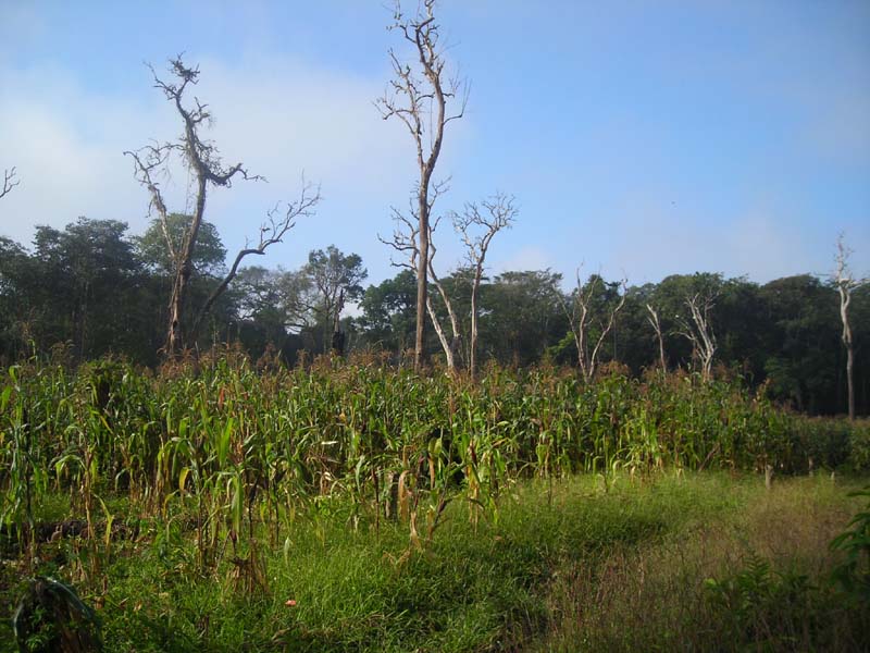 DSCN0070