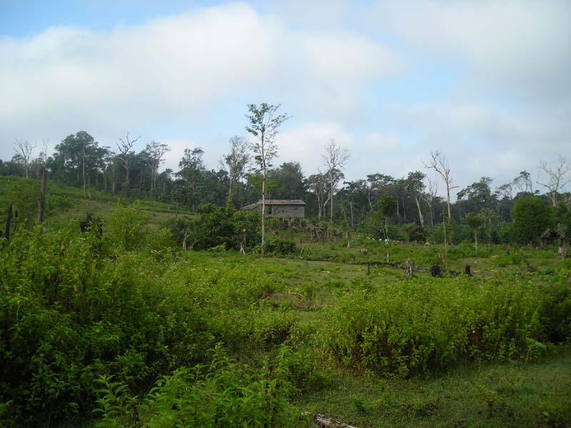 DSCN0080