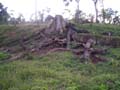 DSCN0055