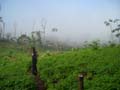 DSCN0063
