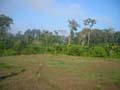 DSCN0066