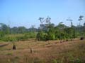 DSCN0067