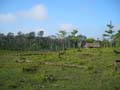 DSCN0075