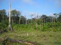 DSCN0078