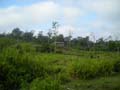 DSCN0080