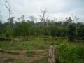 DSCN0081