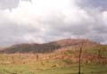 a-FelixGreytown-1