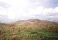 a-FelixGreytown-2