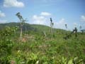 DSCN0213