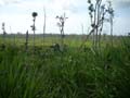 DSCN0248