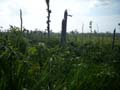 DSCN0249