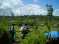 DSCN0517