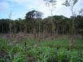 DSCN0539