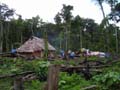 DSCN0550