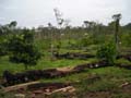 DSCN0604