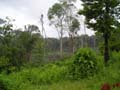 DSCN0609