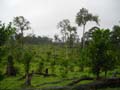 DSCN0618