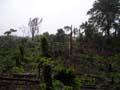 DSCN0621