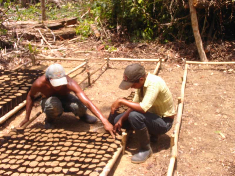 DCFC0040