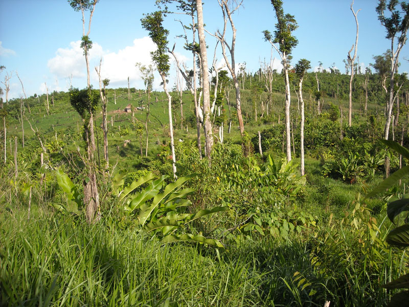 DSCN0099