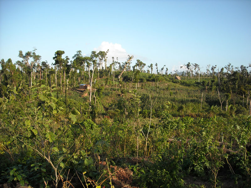 DSCN0109