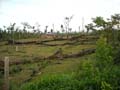DSCN0054