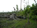 DSCN0062
