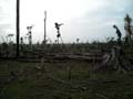 DSCN0063