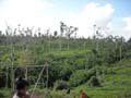 DSCN0094