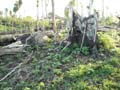 DSCN0113